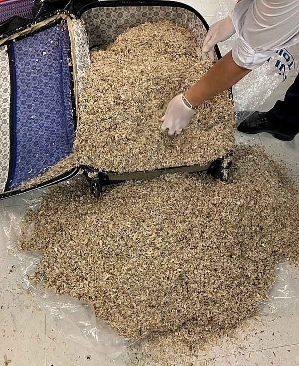Đề nghị truy tố cặp vợ chồng buôn lậu 7 va ly yến sào qua đường hàng không Đề nghị truy tố cặp vợ chồng buôn lậu 7 va ly yến sào qua đường hàng không
