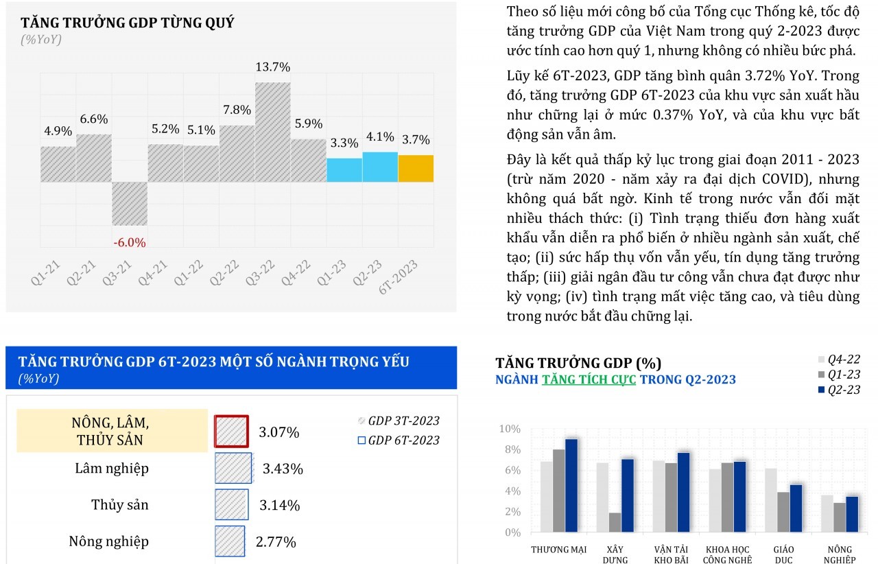 Tốc độ tăng trưởng GDP của Việt Nam 6 tháng đầu năm 2023