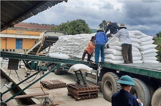 Khẩn trương triển khai nhập, xuất hàng dự trữ quốc gia Khẩn trương triển khai nhập, xuất hàng dự trữ quốc gia