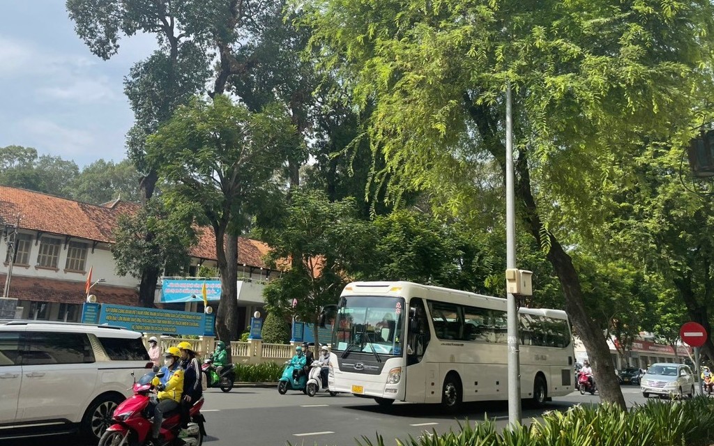 TP.Hồ Chí Minh: Miễn vé xe để thu hút hành khách đi xe buýt