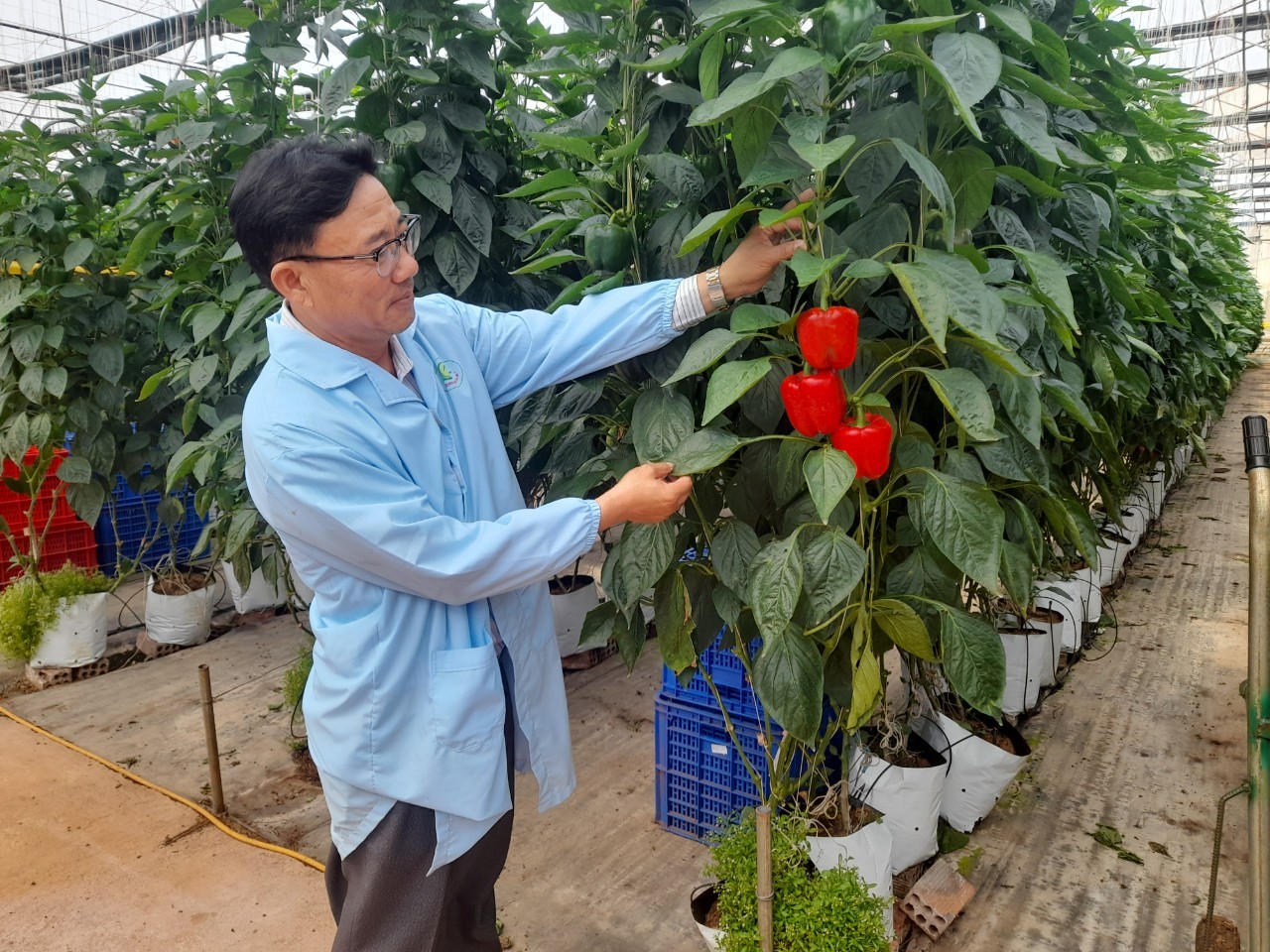Giảm, giãn các loại thuế, phí: M.Kl99.love code khuyến mãi ở Lâm Đồng ví như được đón thêm “luồng gió lành” Giảm, giãn các loại thuế, phí: M.Kl99.love code khuyến mãi ở Lâm Đồng ví như được đón thêm “luồng gió lành”