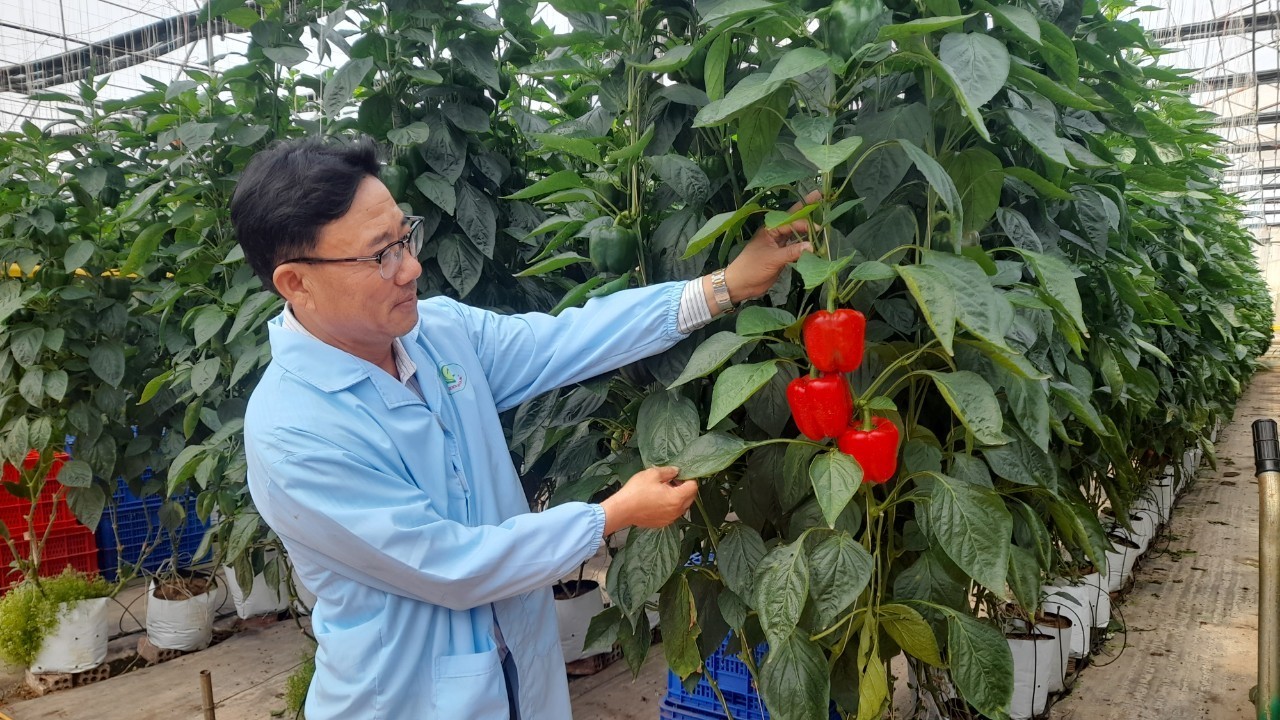 Giảm, giãn các loại thuế, phí: M.Kl99.love code khuyến mãi ở Lâm Đồng ví như được đón thêm “luồng gió lành”