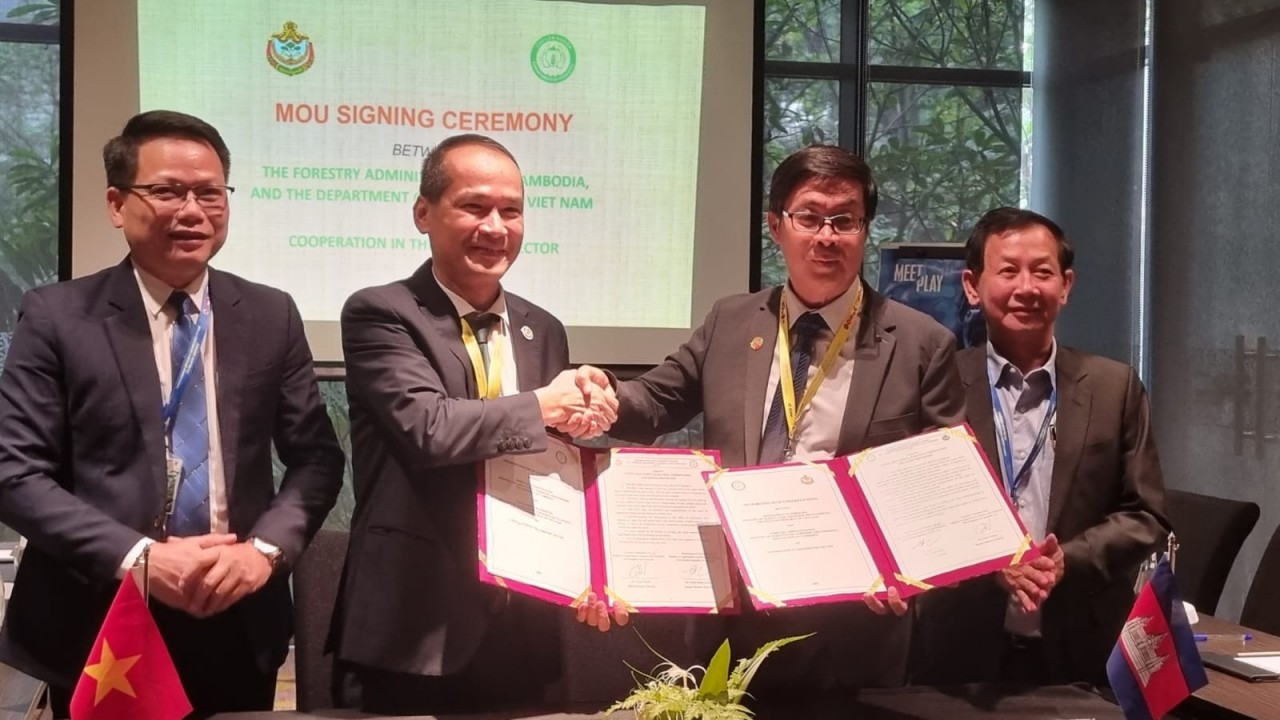 Việt Nam tham dự hội nghị nhóm quan chức cao cấp Asean về lầm nghiệp lần thứ 2 Việt Nam tham dự hội nghị nhóm quan chức cao cấp Asean về lầm nghiệp lần thứ 2