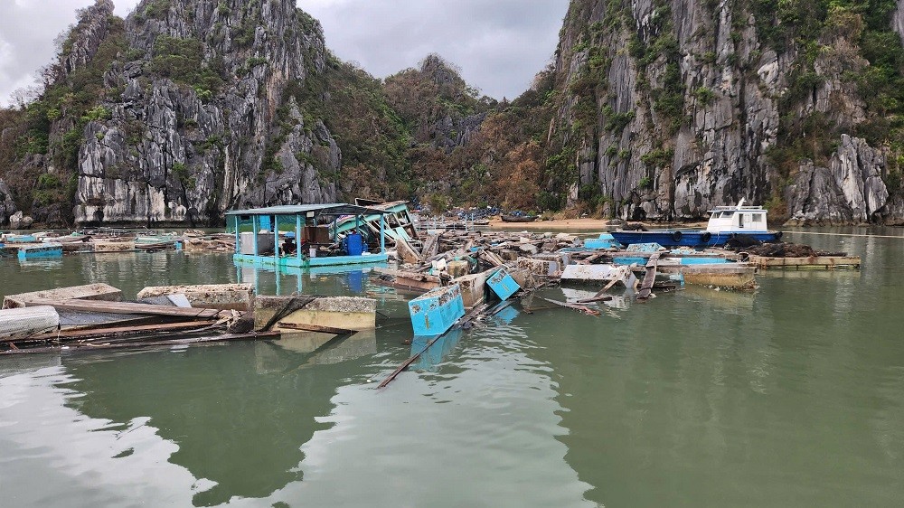 undefined Quảng Ninh: Gỡ khó cho các khách hàng đang vay vốn ngân hàng bị ảnh hưởng của bão số 3