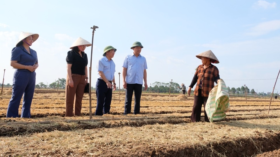 Hà Nội thiệt hại về nông nghiệp trên 2.286 tỷ đồng do bão số 3