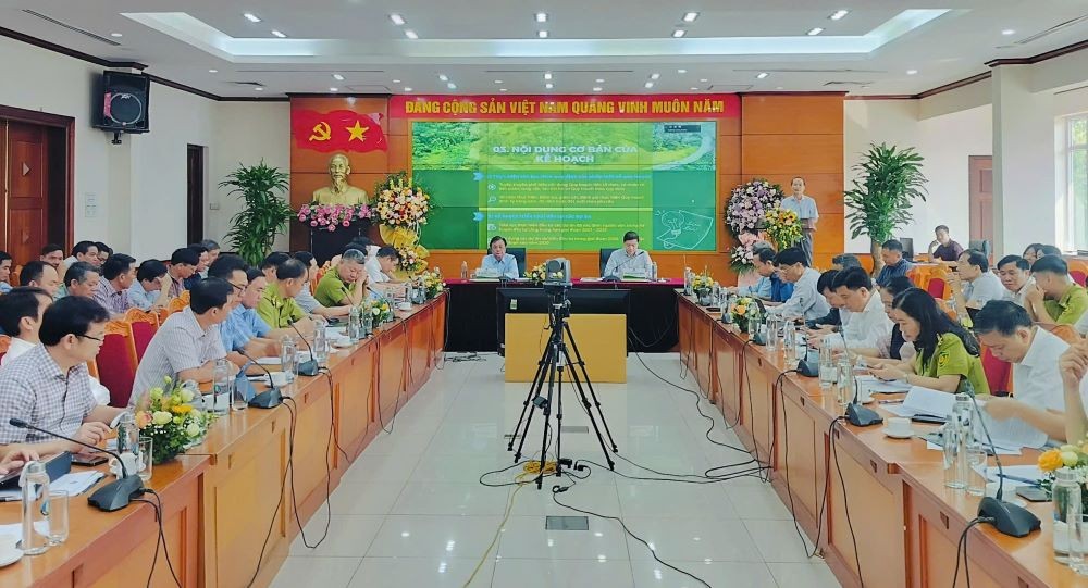 Công bố Quy hoạch Lâm nghiệp quốc gia thời kỳ 2021 - 2030, tầm nhìn đến năm 2050 Công bố Quy hoạch Lâm nghiệp quốc gia thời kỳ 2021 - 2030, tầm nhìn đến năm 2050