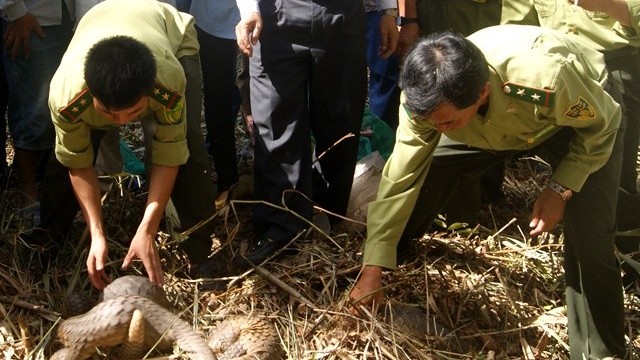 Thực thi M.kl99.love khuyến mãi hấp dẫn, tuyên truyền công tác bảo tồn đa dạng sinh học và bảo vệ các loài hoang dã