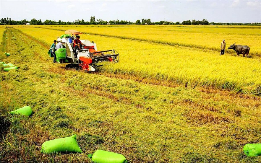 Miễn, giảm thuế đất nông nghiệp: Nâng cao sức cạnh tranh, đảm bảo an ninh lương thực Miễn, giảm thuế đất nông nghiệp: Nâng cao sức cạnh tranh, đảm bảo an ninh lương thực