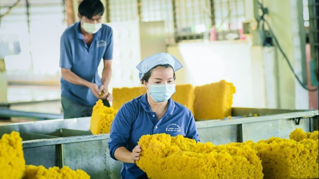 Ngày 18/12: Giá cao su phục hồi