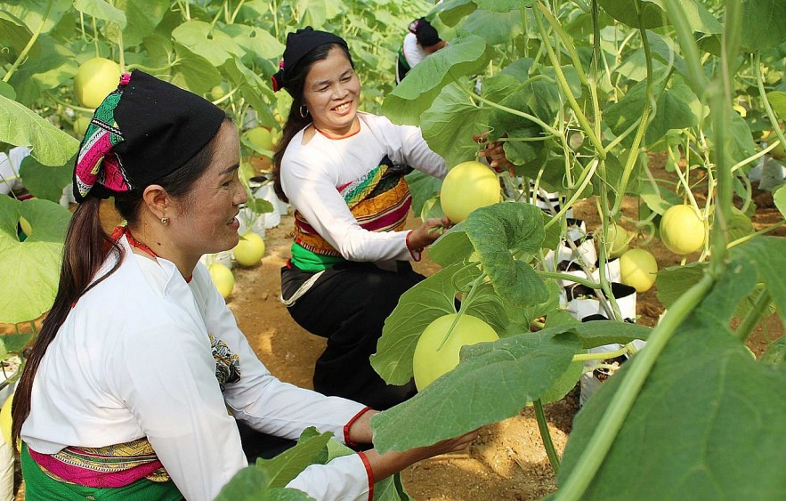 Thanh Hóa tạo chuyển biến rõ nét trong giảm nghèo bền vững