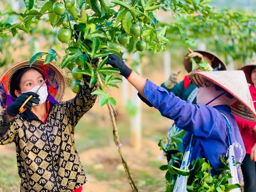 Điện Biên: Tạo sinh kế, nâng chất lượng đời sống người dân