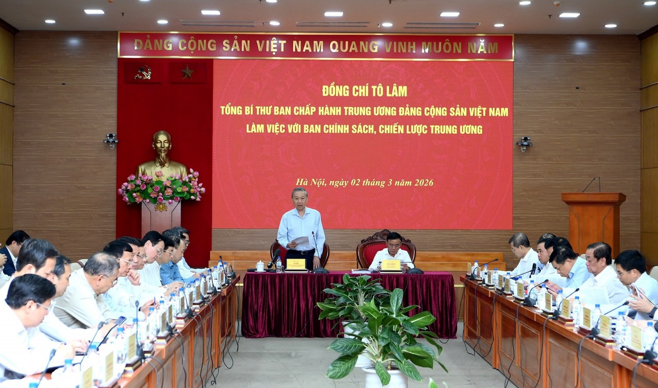 Xây dựng 