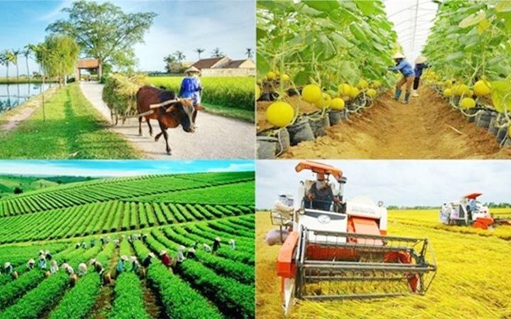 Sắp có hướng dẫn về tiêu chí tài chính trong xây dựng nông thôn mới giai đoạn 2026 - 2030