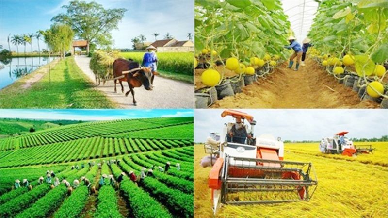 Giải ngân vốn Chương trình mục tiêu quốc gia 4 tháng đạt dưới 10% kế hoạch