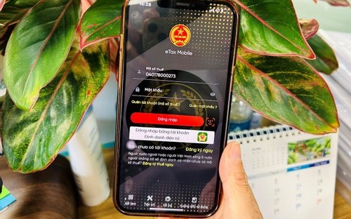 Cá nhân thuộc tổ chức thực hiện sáp nhập, giải thể tự quyết toán thuế Trang Chủ Chính Thức KL 99 Uy Tín Mới Nhất cá nhân cần lưu ý gì?