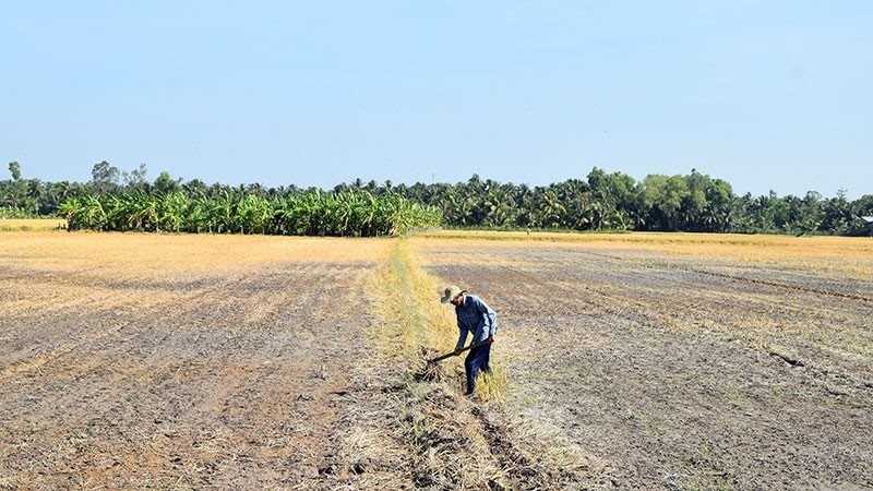 Nhiều khả năng xuất hiện El Nino rất mạnh, cảnh báo năm 2026 nắng nóng gia tăng Nhiều khả năng xuất hiện El Nino rất mạnh, cảnh báo năm 2026 nắng nóng gia tăng