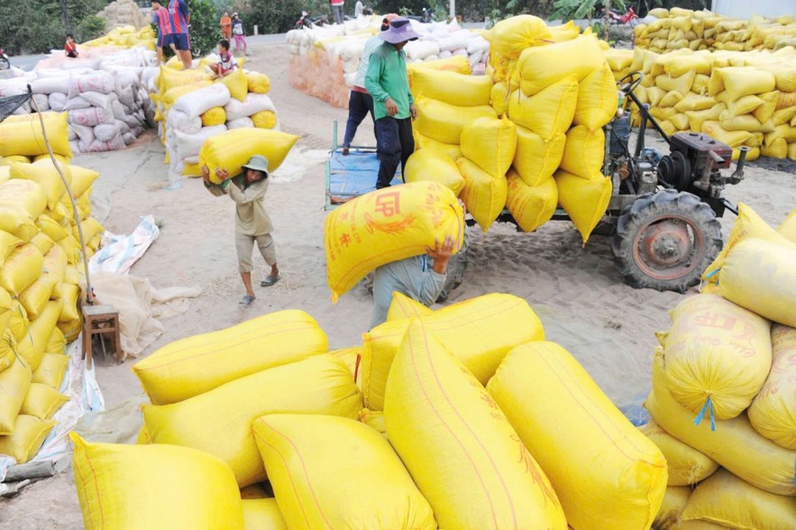 Chi phí tăng cao, tạo áp lực phục hồi giá gạo