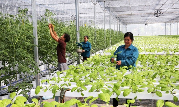 Từ cam kết Net Zero đến bài toán dòng vốn: Làm sao để chuyển đổi xanh không chỉ dừng ở mục tiêu?
