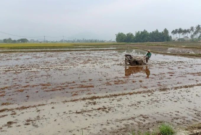 Gần 40% đất nông nghiệp bị suy thoái