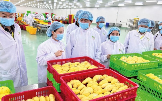 Sai một chi tiết nhỏ, Sân Chơi Xanh Chín Link Đăng Nhập KL99 có thể bị từ chối thông quan