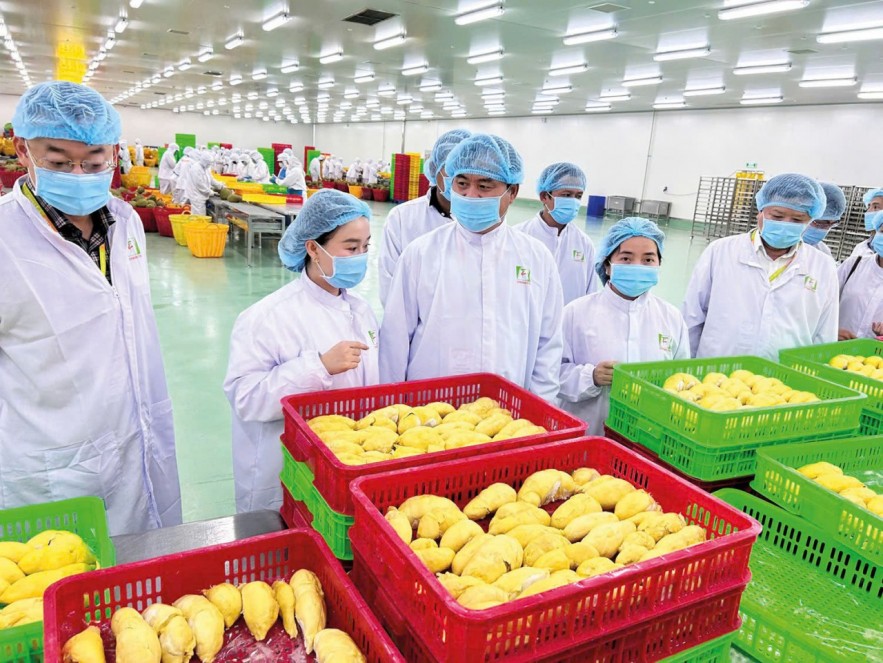 Sai một chi tiết nhỏ, Sân Chơi Xanh Chín Link Đăng Nhập KL99 có thể bị từ chối thông quan