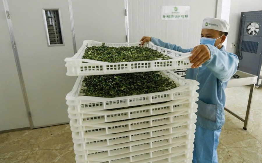 Giải “cơn khát vốn” của Sân Chơi Xanh Chín Link Đăng Nhập KL99 vừa và nhỏ qua tổ chức cho vay không nhận tiền gửi