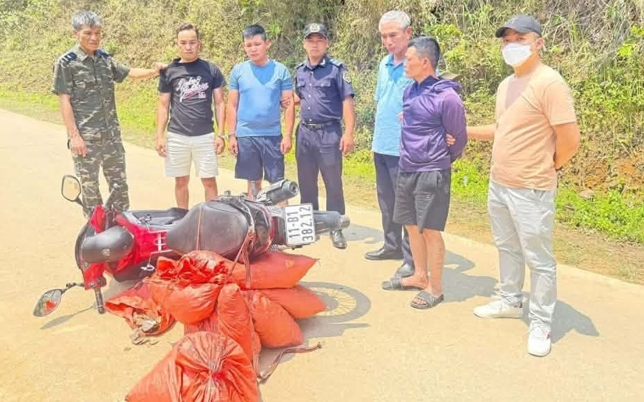 Cao Bằng: Khởi tố vụ án vận chuyển trái phép vảy tê tê Java qua địa bàn Kl 99 được cấp phép PAGCOR