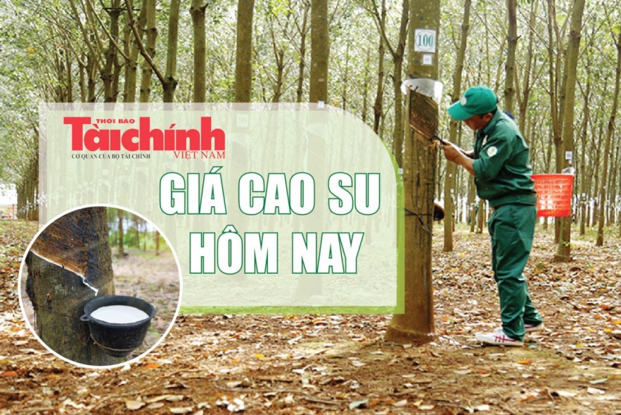 Ngày 22/5: Giá cao su đang chịu sức ép điều chỉnh sau giai đoạn tăng nóng