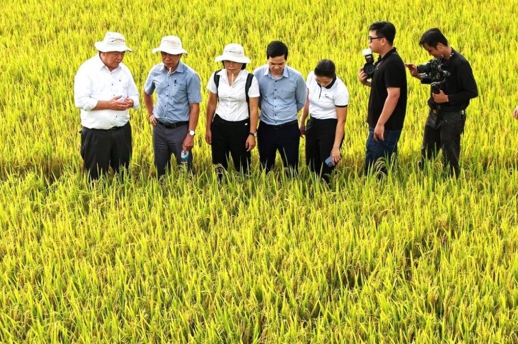 Thị trường tín chỉ carbon: Cơ hội mới cho nông nghiệp phát thải thấp