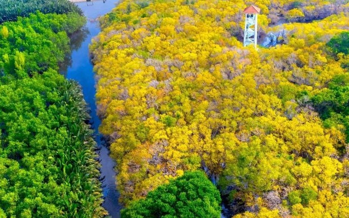 Huế tìm nguồn lực đầu tư phát triển hệ đầm phá nước lợ lớn nhất Đông Nam Á