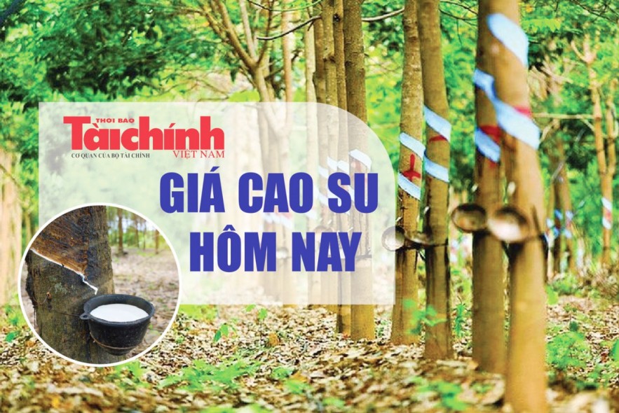 Ngày 25/5: Giá cao su thế giới biến động trái chiều, trong nước đi ngang