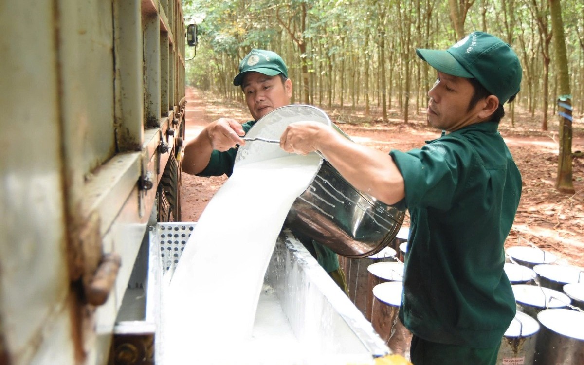Ngày 26/5: Giá cao su tại các thị trường chính châu Á tiếp tục giảm