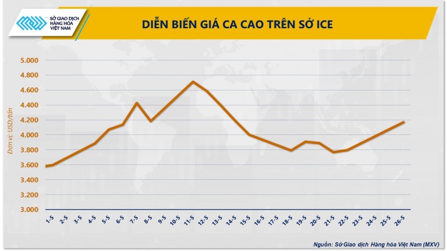Giá ca cao bật tăng mạnh do những lo ngại về nguồn cung toàn cầu