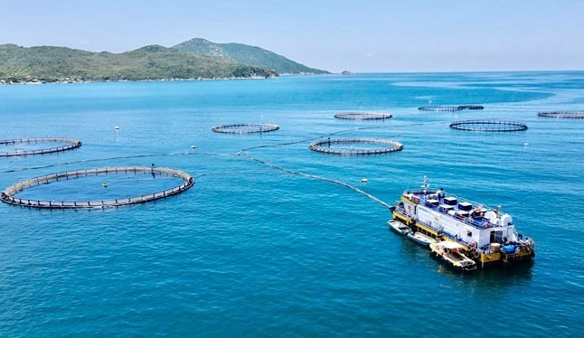 Hướng tới nông thôn mới xanh và số hóa, Khánh Hòa đẩy mạnh kinh tế tuần hoàn Hướng tới nông thôn mới xanh và số hóa, Khánh Hòa đẩy mạnh kinh tế tuần hoàn