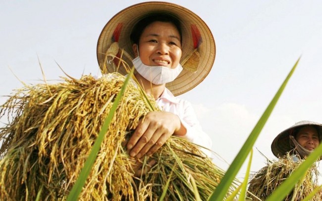 Đại hội đại biểu toàn quốc Hội Nông dân Việt Nam lần thứ IX sẽ diễn ra từ ngày 7 - 8/6