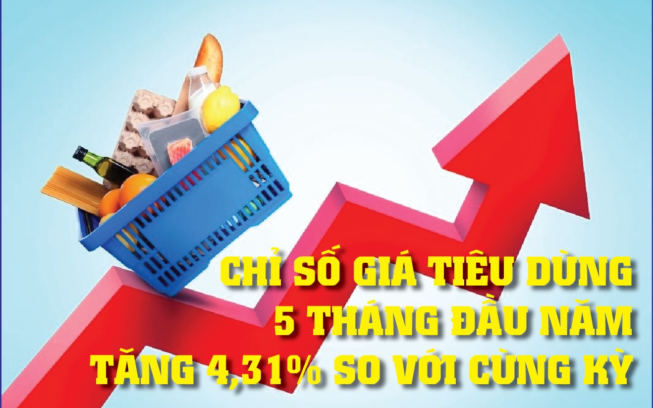 Infographics: Chỉ số giá tiêu dùng tháng 5/2026 tăng 0,29%