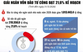 Giải ngân đầu tư công vẫn ì ạch, dù gần nửa chặng đường sắp qua