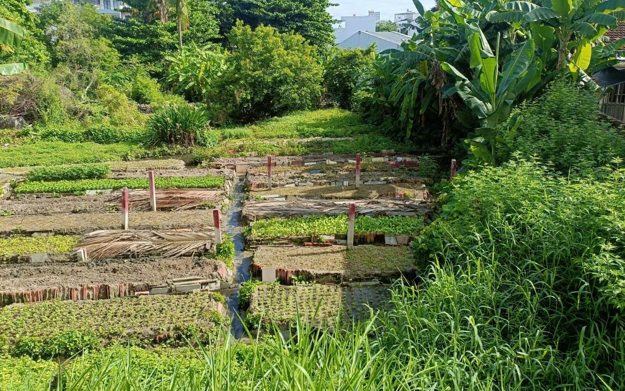 Giảm áp lực tài chính cho người dân