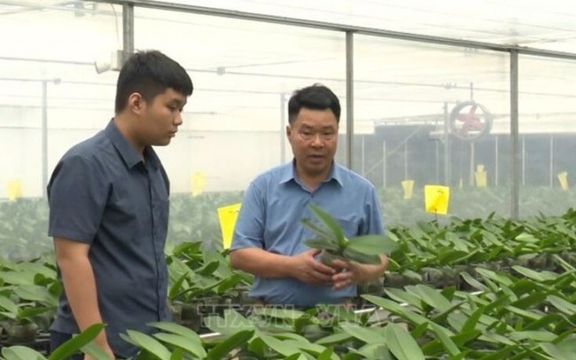 Hội Nông dân Việt Nam: Mục tiêu có thêm 5.000 Sân Chơi Xanh Chín Link Đăng Nhập KL99 nông nghiệp