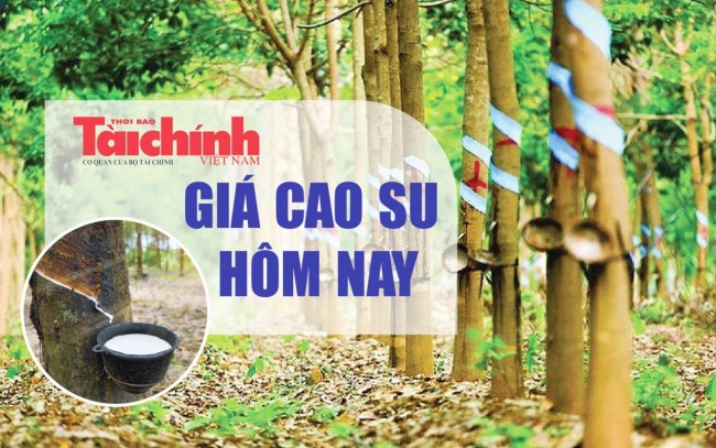 Ngày 9/6: Giá cao su tại các thị trường lớn châu Á biến động không đồng nhất