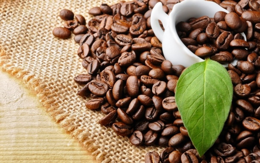 Ngày 9/6: Giá cà phê tiếp tục chịu sức ép, hồ tiêu neo cao Ngày 9/6: Giá cà phê tiếp tục chịu sức ép, hồ tiêu neo cao