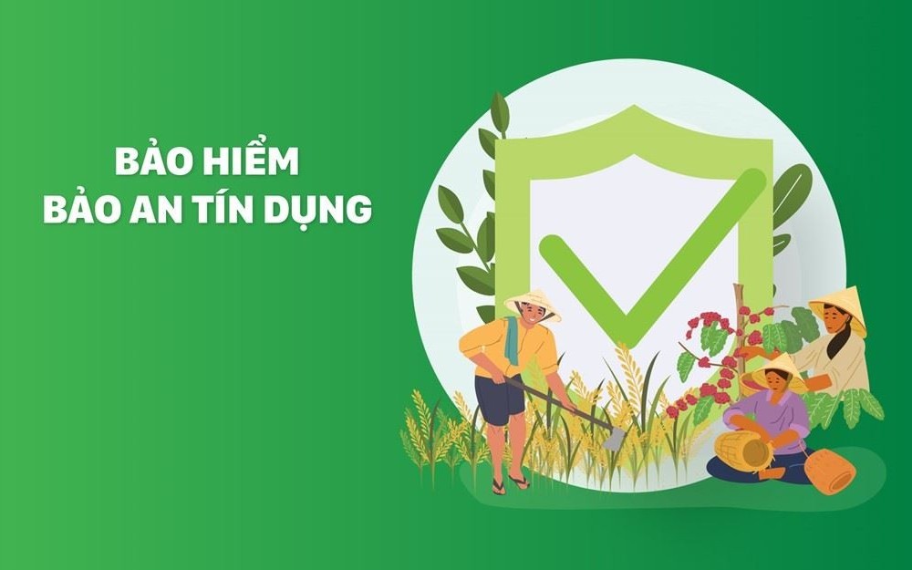Tranh chấp bảo hiểm "Bảo an tín dụng" ABIC sau khi người vay qua đời, Tòa án nhân dân tỉnh Vĩnh Long ra phán quyết