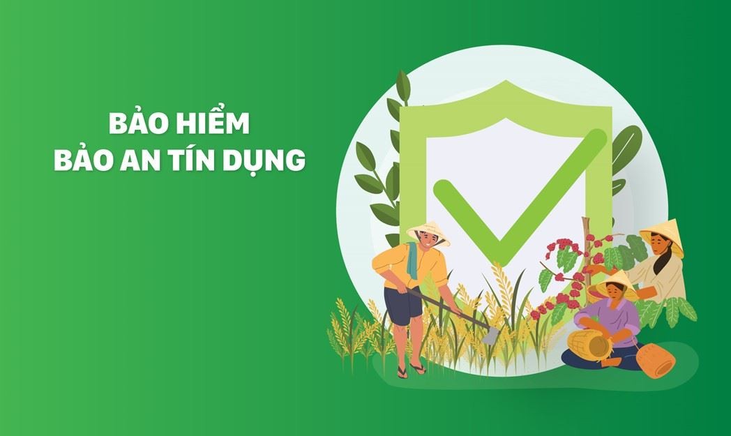 Tranh chấp bảo hiểm Bảo an tín dụng ABIC sau khi người vay qua đời, Tòa án nhân dân tỉnh Vĩnh Long ra phán quyết