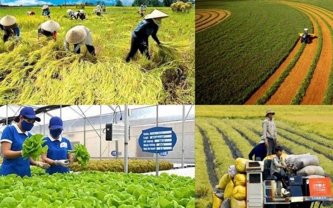 Nông nghiệp, môi trường: Cải cách thủ tục hành chính, tiết kiệm hàng nghìn tỷ đồng