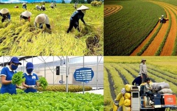 Nông nghiệp, môi trường: Cải cách thủ tục hành chính, tiết kiệm hàng nghìn tỷ đồng