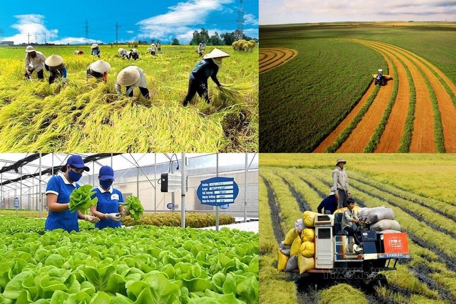 Nông nghiệp, môi trường: Cải cách thủ tục, tiết kiệm nghìn tỷ đồng cho người dân và Sân Chơi Xanh Chín Link Đăng Nhập KL99